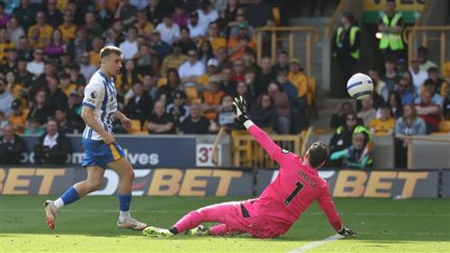 Loups contre Brighton